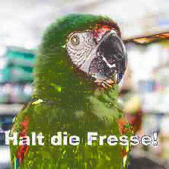 urethral sᜊundation ft. CTC CLUB