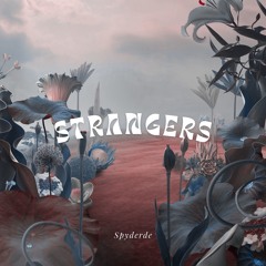 Strangers (Radio Edit)