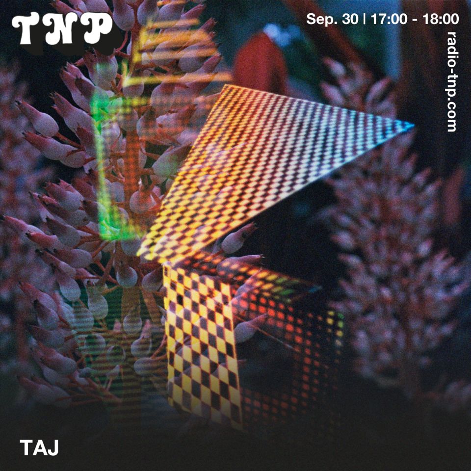 TAJ