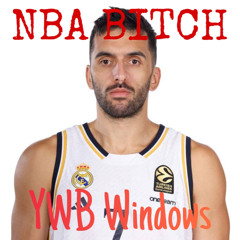 YWB Windows - NBA Bitch