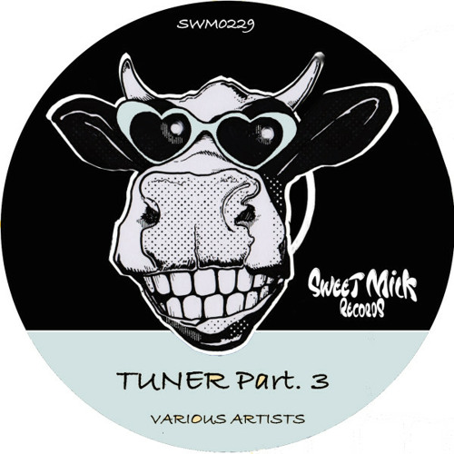 Make Your Transition (Original Mix)  [ SWEET MILK RECORDS ]