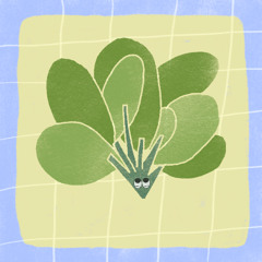 SCROUNTCH - épisode 6 : l'épinard fêtard