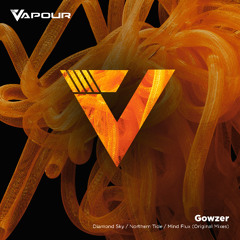PREMIERE: Gowzer - Diamond Sky [Vapour Recordings]