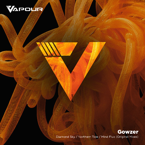 PREMIERE: Gowzer - Diamond Sky [Vapour Recordings]
