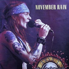 NovemberRain (prod jameer amani)
