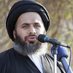 جهاد علماء جبل عامل في مواجهة أحمد باشا الجزار -5  السيد هاشم الهاشمي 12 - 4-2021