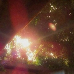 frou frou foxes in midsummer fires • cocteau twins