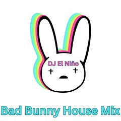 Bad Bunny House Mix (Neverita, Yonaguni, El Apagon, Safaera, Titi Me Pregunto, Dakiti, Moscow Mule)