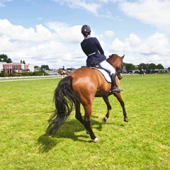 Dressage Music - Yara