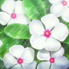 MACHIKO - Starlight (MEIISSA Remix)