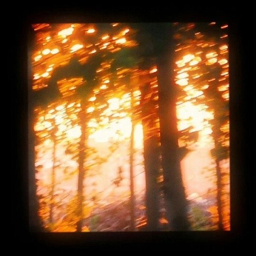 SAFE PLACE (prod. Alfie Snapped)