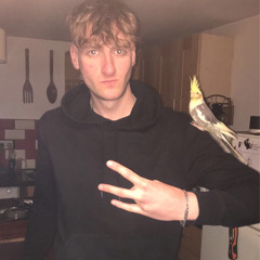 SHUT The FK UP DJ CURLY