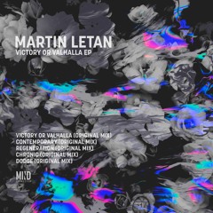 Martin Letan - Victory Or Valhalla [SNIPPET]