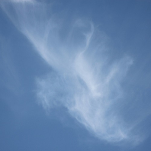 Better Angels (Original)