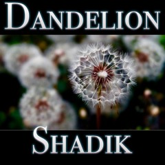 Dandelion (Prod. by Shadik)