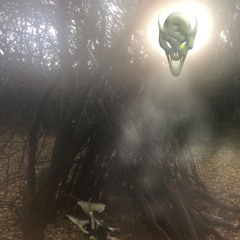 Yem Gel - 22nd November 2021