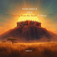 Ndilimele (Mix).mp3