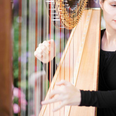A Thousand Years - Live String Solo - Harp