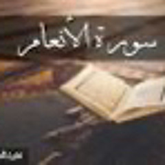 سورة الأنعام / الشيخ محي ابو القاسم