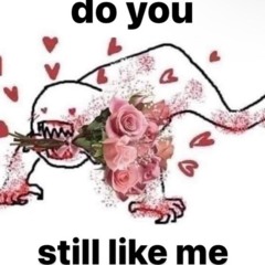 Didnt wanna end like this