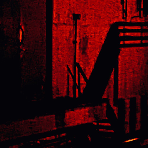 ChilcoFuchsia [Live]