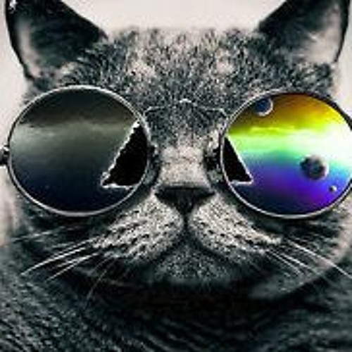Psytrance Megamix 4 (Astrix, Berg, Blastoyz, Infected Mushroom)