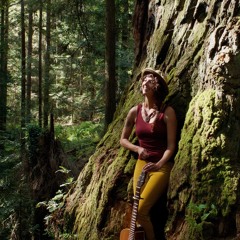 Building A Bridge By Samara Jade