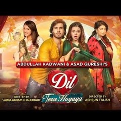 Dil Tera Hogaya | OST | Without Dialogue | Full Song