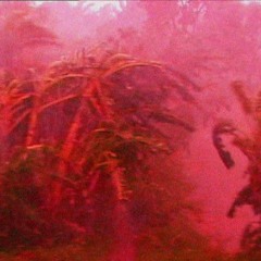 SYИVPSE FVILURE - RΣD  RᗗIN