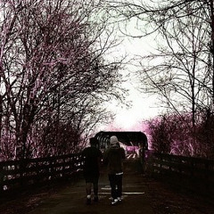 Distance Sly Baby V2