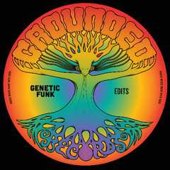 Genetic Funk - Cosmic Rain Album Edit