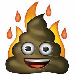New Shit (4Flow Hardtek Remix)