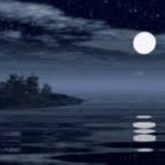 Under the Moonlight   Alana Burner
