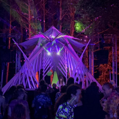 Remedy - Live at Bloom Fest 2024