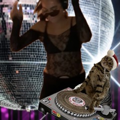 trance diggahh