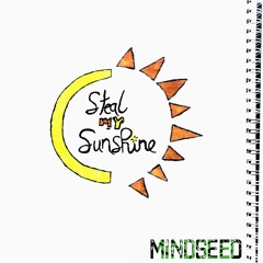 Steal My Sunshine (Len Cover)