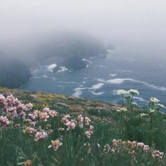 Freedom From Interference