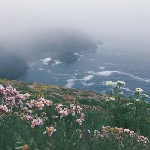 Freedom From Interference