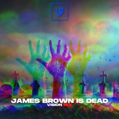 James Brown Is Dead (Vision Mix)