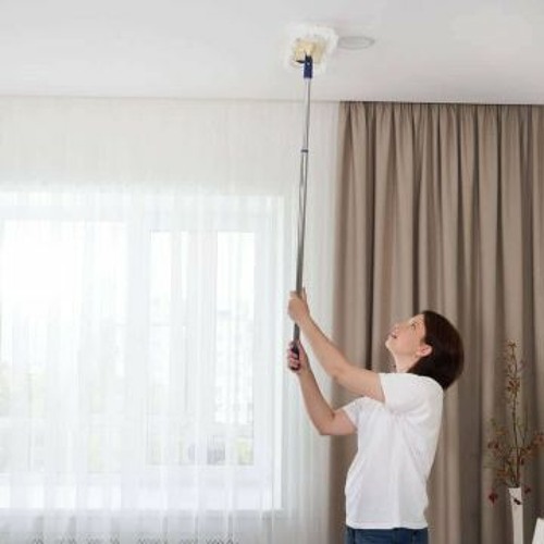 Stream Guide to Removing Cobwebs from Your Home’s Exterior from Santos ...