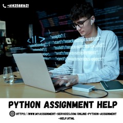 Get Expert Python Assignment Help – Fast, Reliable & Affordable