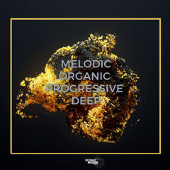 MELODIC // PROGRESSIVE // ORGANIC