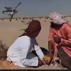 ‎⁨الشاعر مبارك آل شافي - أداء عبدالرحمن آل نجم - الشور⁩.m4a