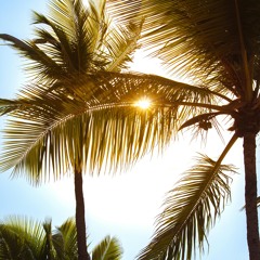 🌴 Garden Summer House Mix 2024🌴