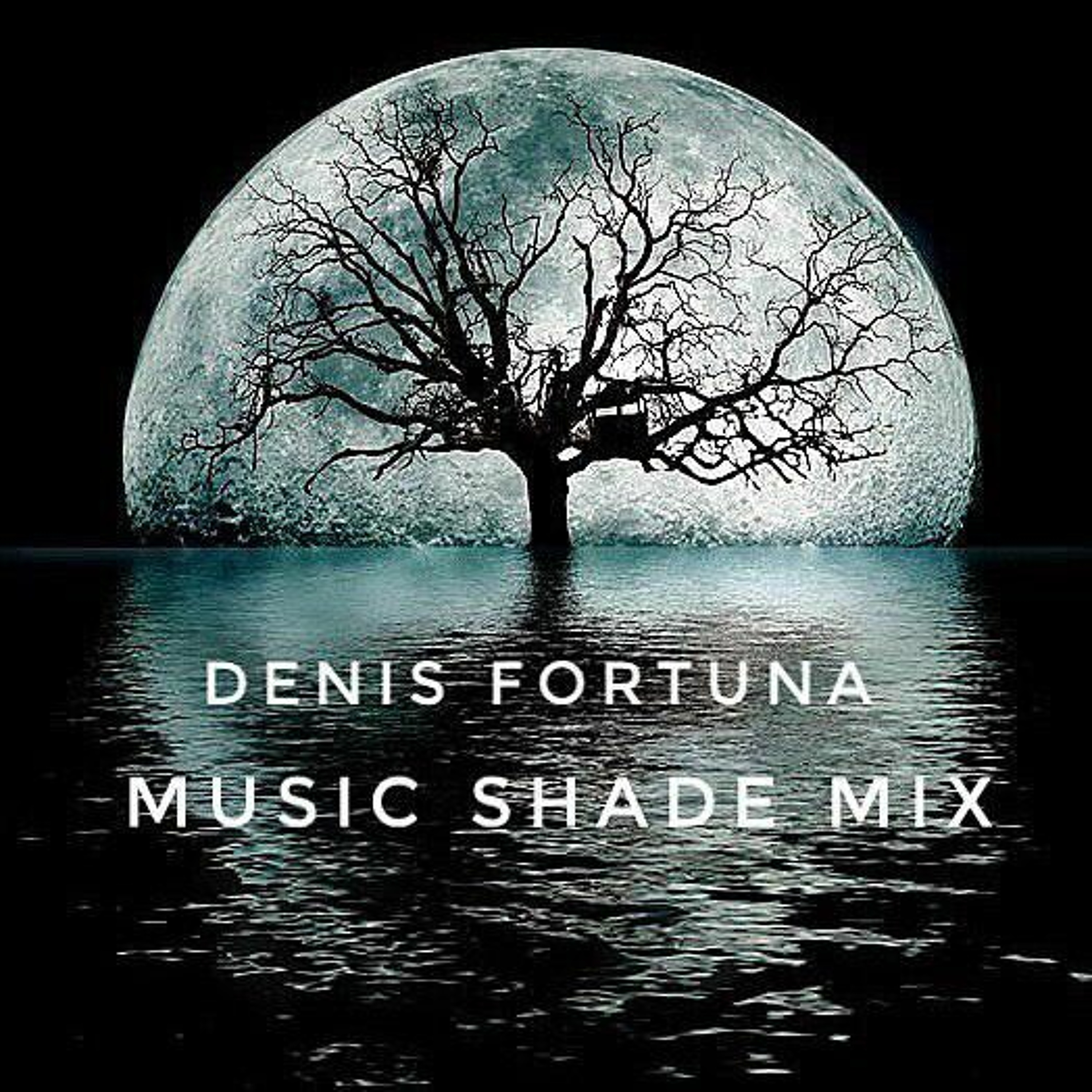 DENIS FORTUNA