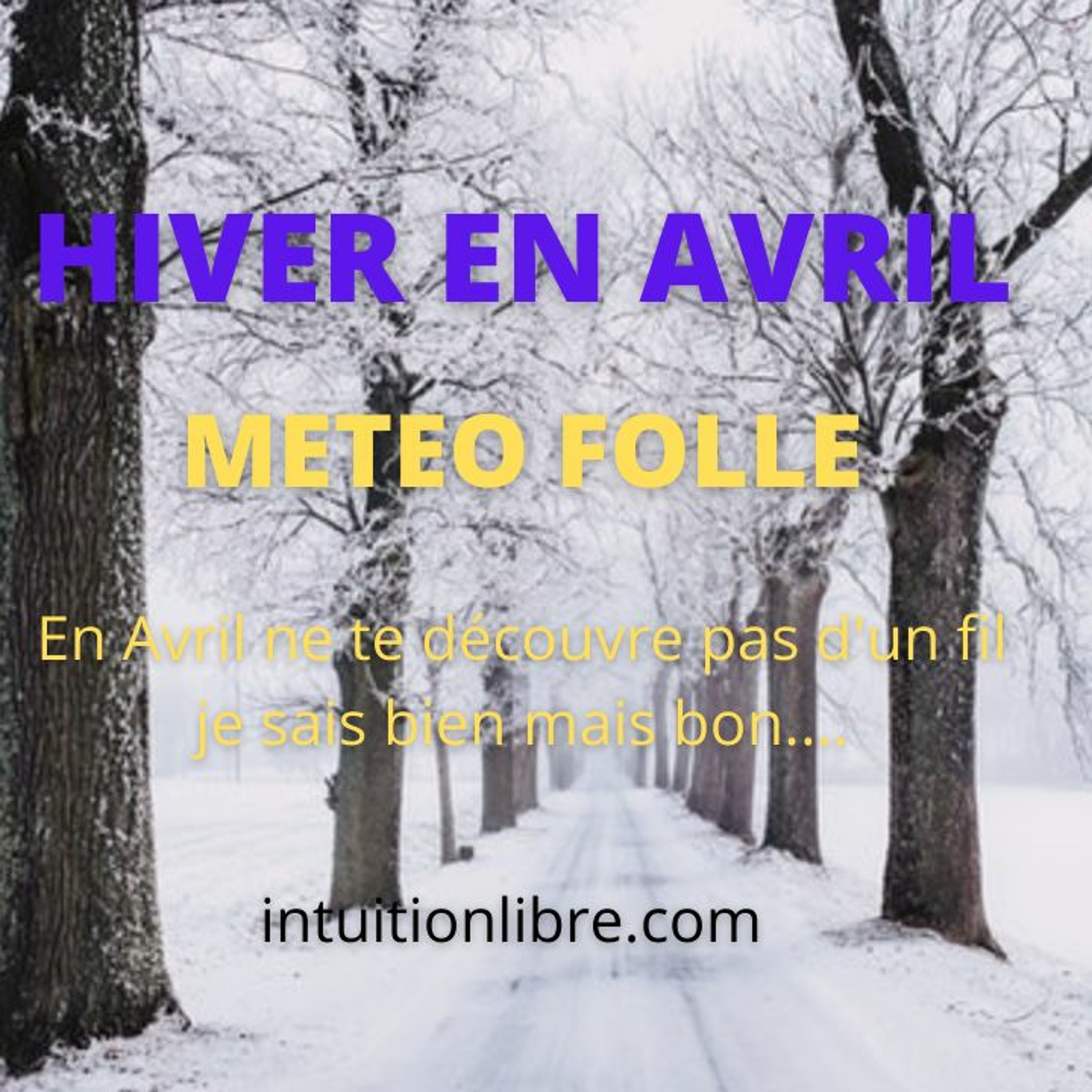 intuitionlibre.com actu vue par la voyance