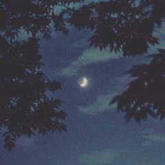 under the moon. (cool like dat)