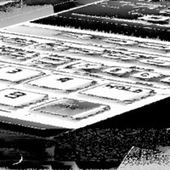 HERE TO STAY (Permaton Super II Crop)