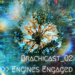 Brachicast_02 >> Engines Engaged ║ Psytrance Mix - Podcast Set
