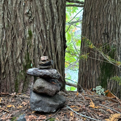 Echo (prod. neverforever)